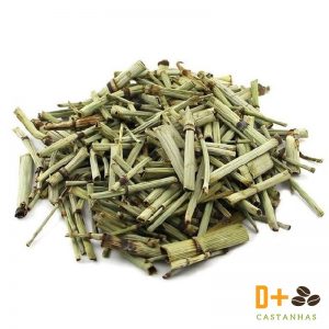 Chá de Cavalinha Cultivada