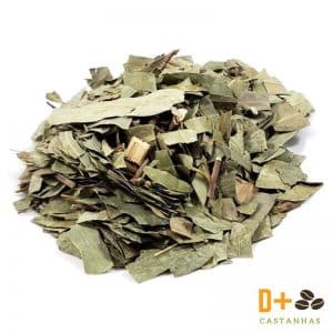 Chá de Eucalipto (Folhas)
