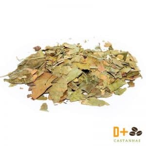 Chá de Ginkgobiloba