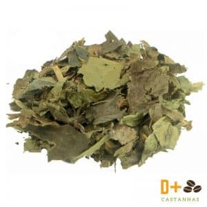 Chá de Guaco