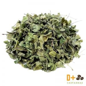 Chá de Moringa